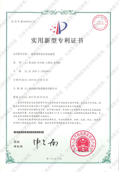 Device for treating black and odor water bodies