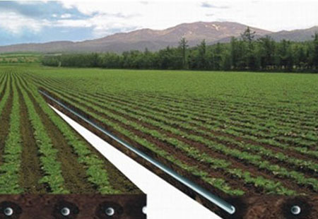 Smart irrigation