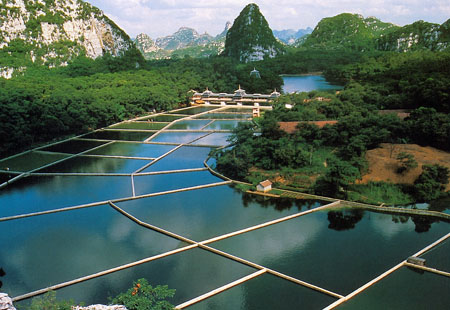 Ecological River Management