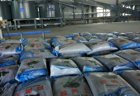 Sludge harmless treatment agent